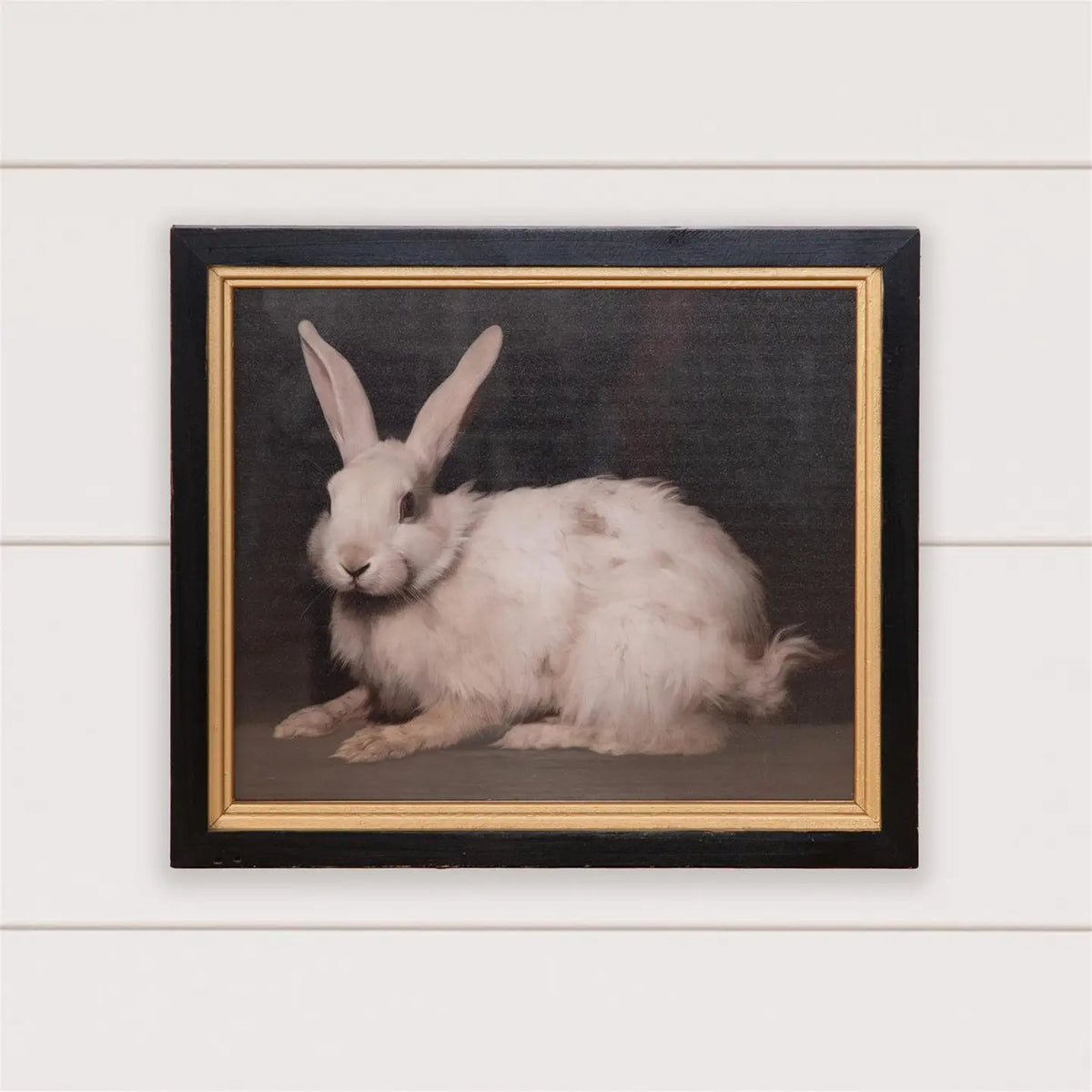 Framed Print - Handsome Rabbit – Interior Matters