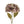 Faded Hydrangea Stem - Purple