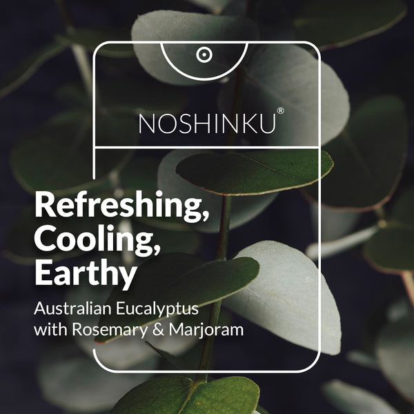 Eucalyptus Hand Sanitizer