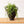 Rustic Metal Urn