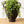 Rustic Metal Urn