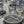 Madeira Grey Soup/Pasta Plate Set
