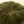 Velvet Tuft Round Cushion - Moss