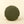 Alpine Trees Round Pillow