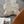 Shorn Nude Icelandic Sheepskin Throw Rug