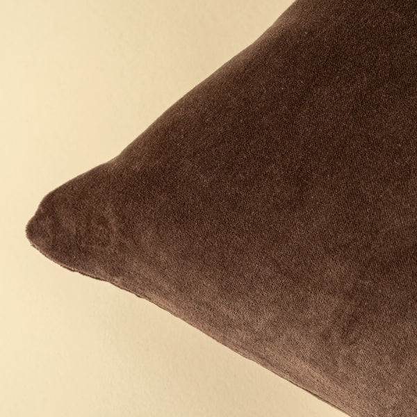 Vera Luxe Velvet Pillow - Clove 20x20