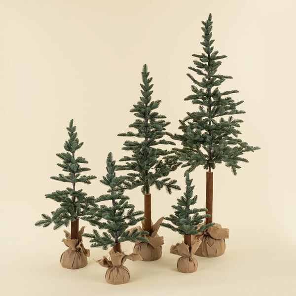 Nordic Pine Tree