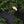 Norfolk & Cypress Mixed Real Touch Garland - 9 ft