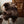 Dark Brown Icelandic Sheepskin Throw Rug