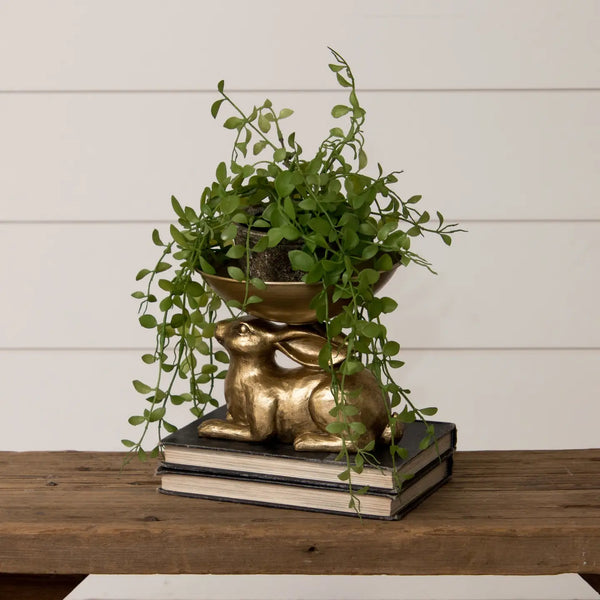Rabbit Bowl