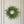 Norfolk Pine Wreath