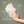 Eucalyptus Hand Sanitizing Wipes