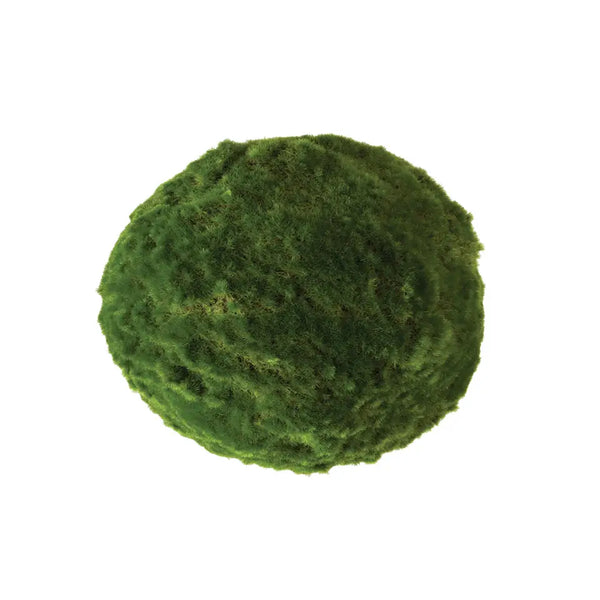 Moss Ball - 9"