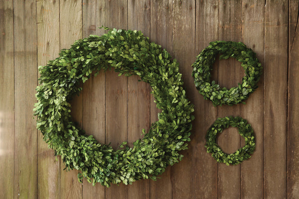 Round Preserved Boxwood Wreath