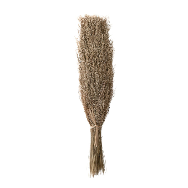 Dried Star Grass Bunch Tied W/ Raffia