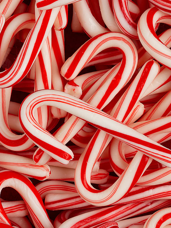 Santa's Workshop