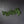 Norfolk & Cypress Mix Faux Garland - 6ft)