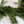 Norfolk & Cypress Mix Faux Garland - 6ft)