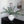 Olive Branches Green Faux Stems