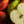 Apple Orchard