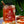 Triple Pepper Jelly