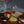 Winter Duo Collections