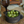 Wooden Cups - Set Of Two