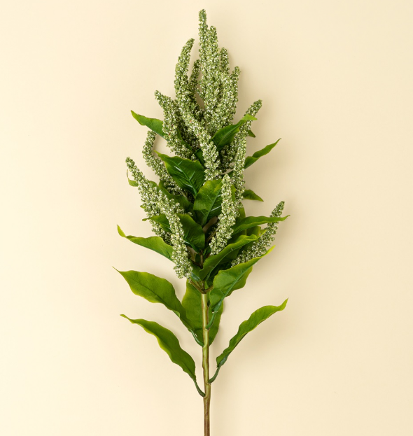 Foxtail Stem - Green