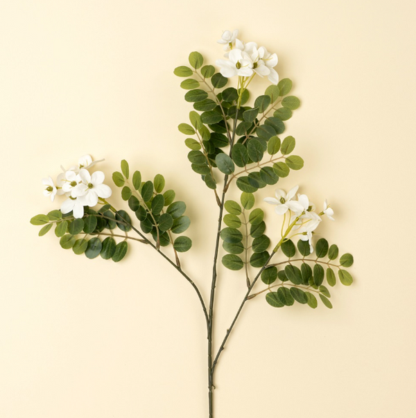 Locust Flower Branch