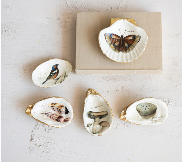 Resin Shell Dish