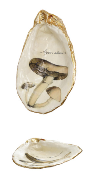 Resin Shell Dish