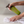 Frasier Fir Countertop Spray