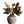 Magnolia Faux Leaves
