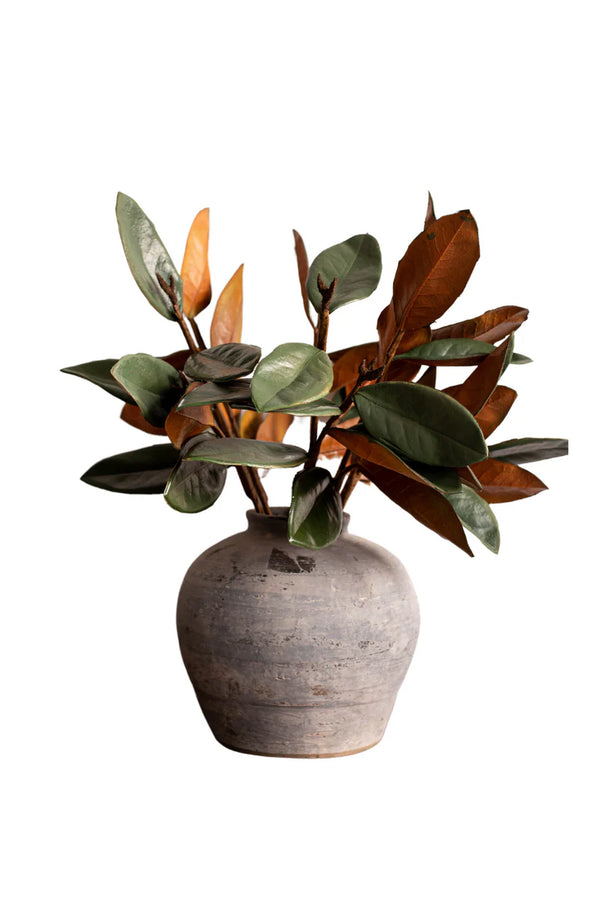 Magnolia Faux Leaves