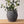 Black Distress Vase