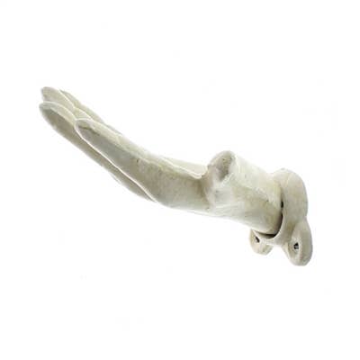 Antique Wall Mounted Hand