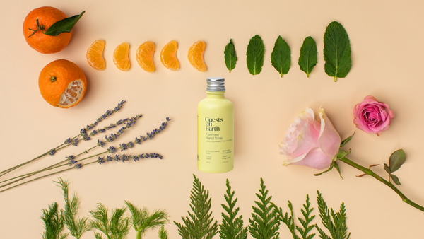 Citrus Oasis All-Purpose Cleaner