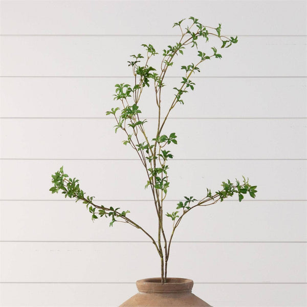 Blooming Enkianthus Branch