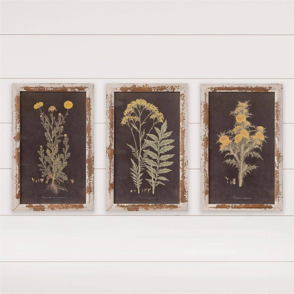 Yellow Flowers Framed Prints