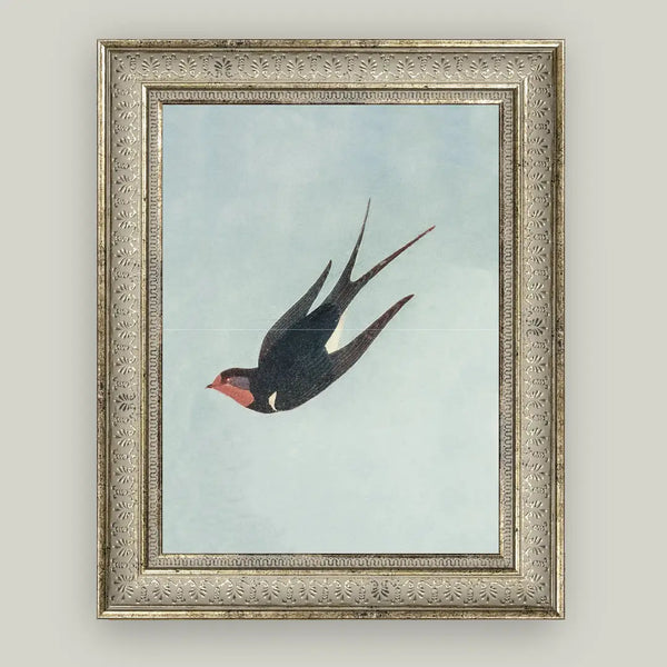 Swallow Boraston Art