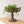Classic Distressed Urn