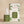 Thymes Frasier Fir