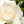 Moodcast Fragrance Co. BFF