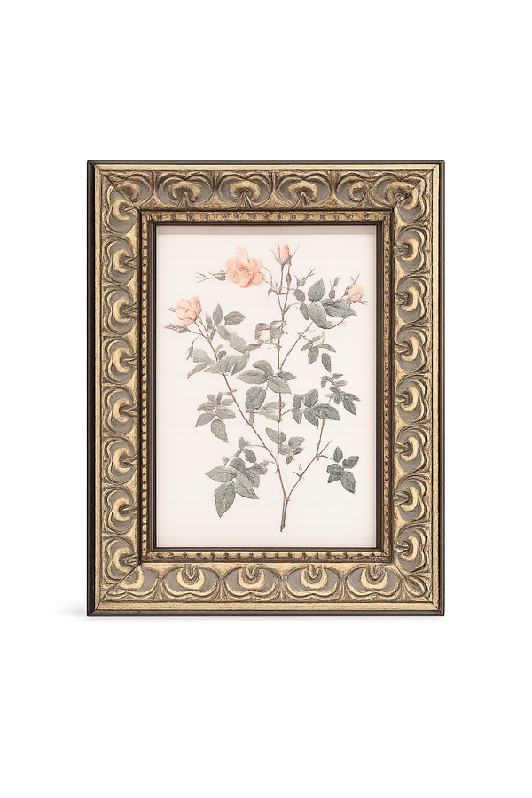 Rosa Framed Antique Art