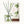 Pine Needle Reed Diffuser